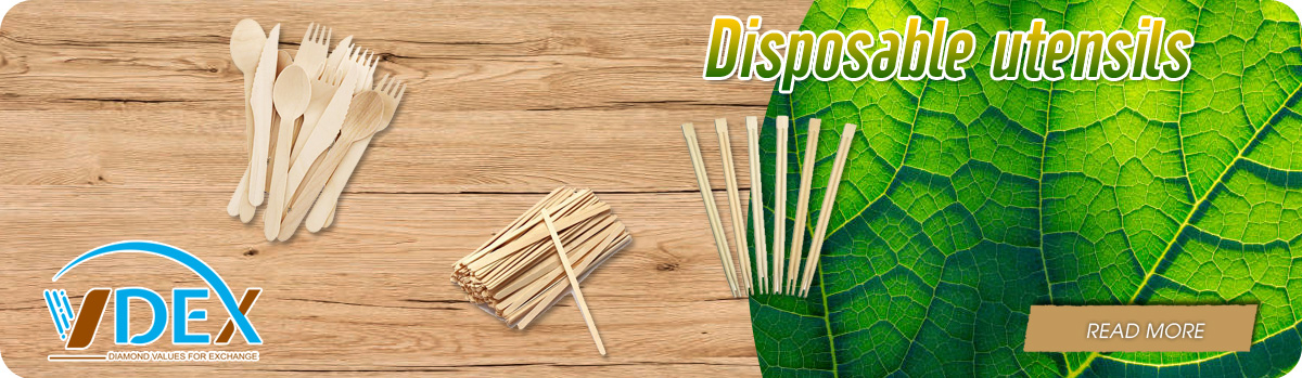 Disposable Utensils - VDEX | Full material exchange